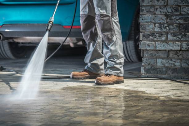 Best Gutter Cleaning  in Palmhurst, TX
