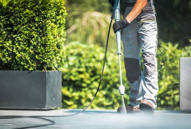 Best Pre-Holiday Cleaning  in Palmhurst, TX