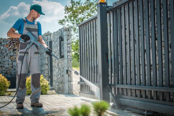 Best Boat and Dock Cleaning  in Palmhurst, TX