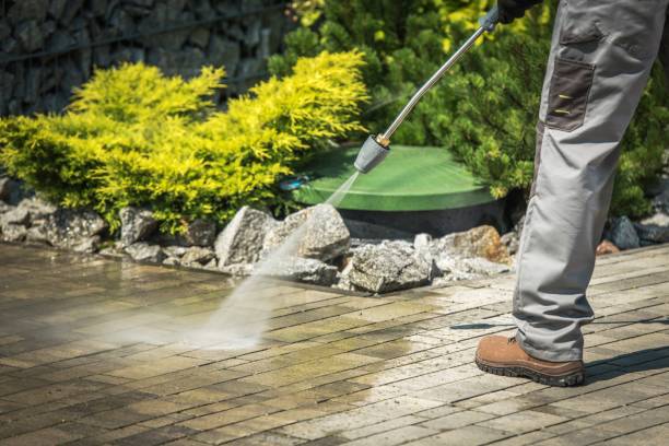 Best Animal Enclosure Cleaning  in Palmhurst, TX